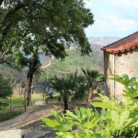 Oak Cottage Ferreira do Zêzere Kültér fotó