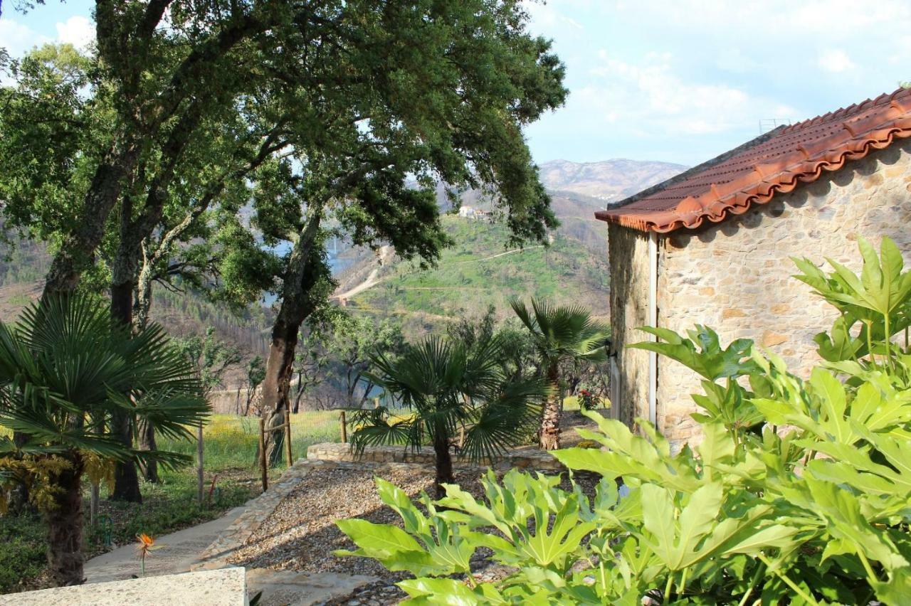 Oak Cottage Ferreira do Zêzere Kültér fotó